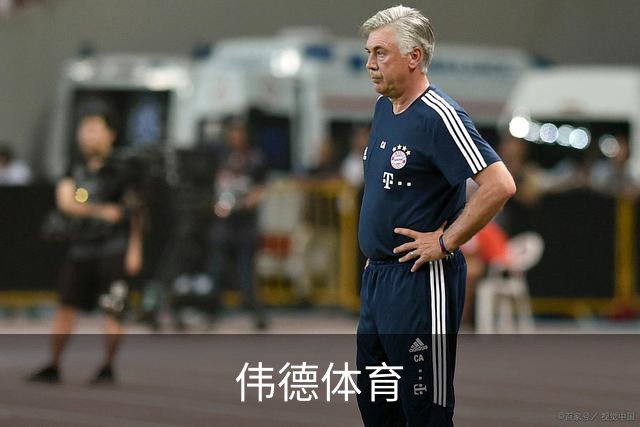 伟德体育公司简介图片